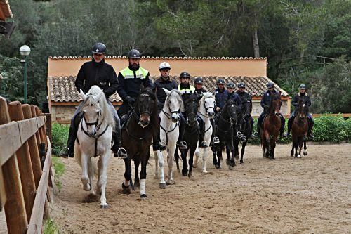 Die Pferde der Reiterstaffel der Polizei