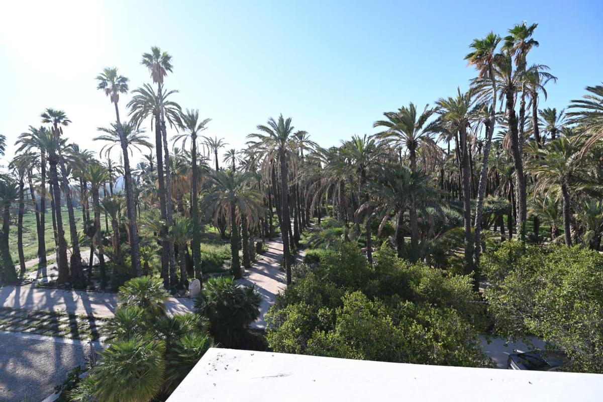 Elche invertirá 720.000 euros de fondos europeos para recuperar la parte agrícola y jardines del Hort del Gat