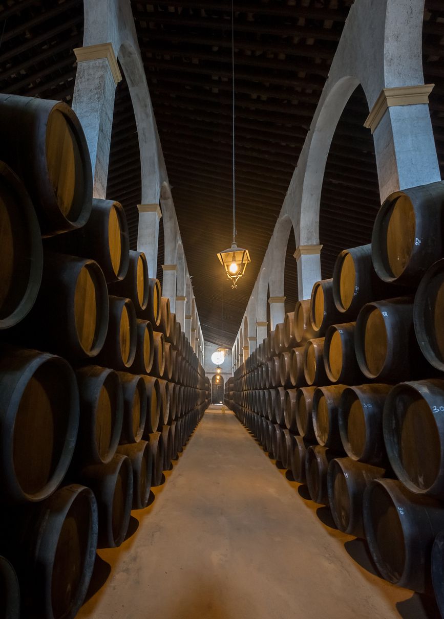 Bodega-catedral de Jerez, Cádiz