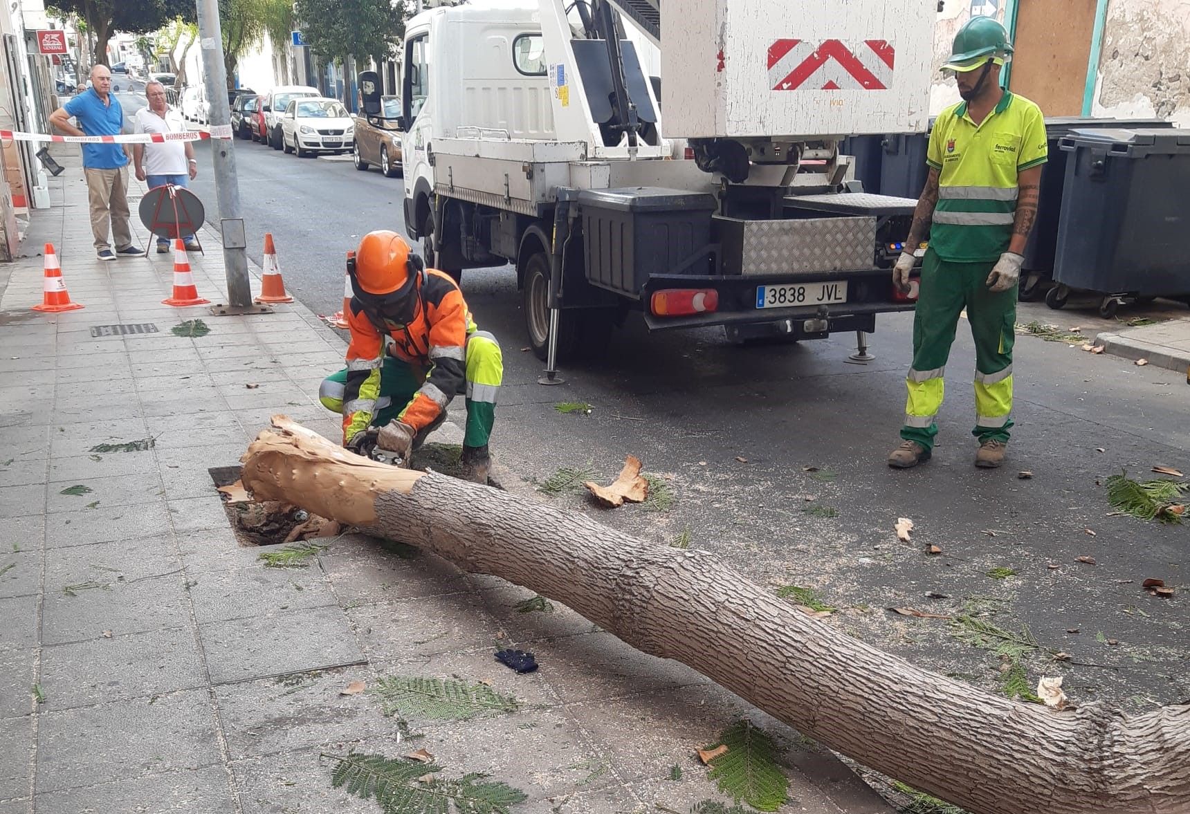 Talan un árbol tras el impacto de un camión en Arrecife