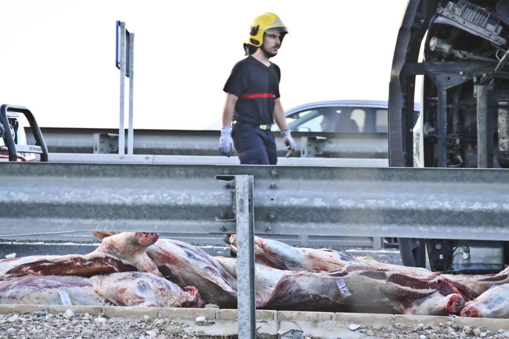 Accidente de camión cargado de carne congelada