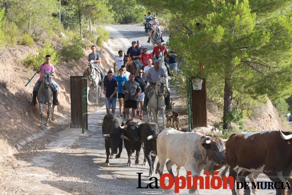 Vereda en Moratalla