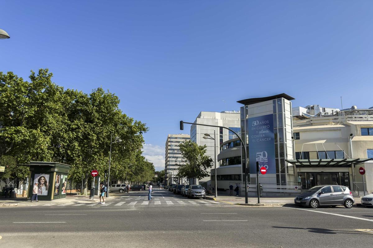 A la izquierda, el jardín en el que se construirán los nuevos edificios. A la derecha, el IVO