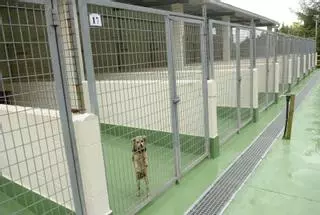 Servigal asegura que ha comprado terrenos y encargado un proyecto para reubicar la perrera