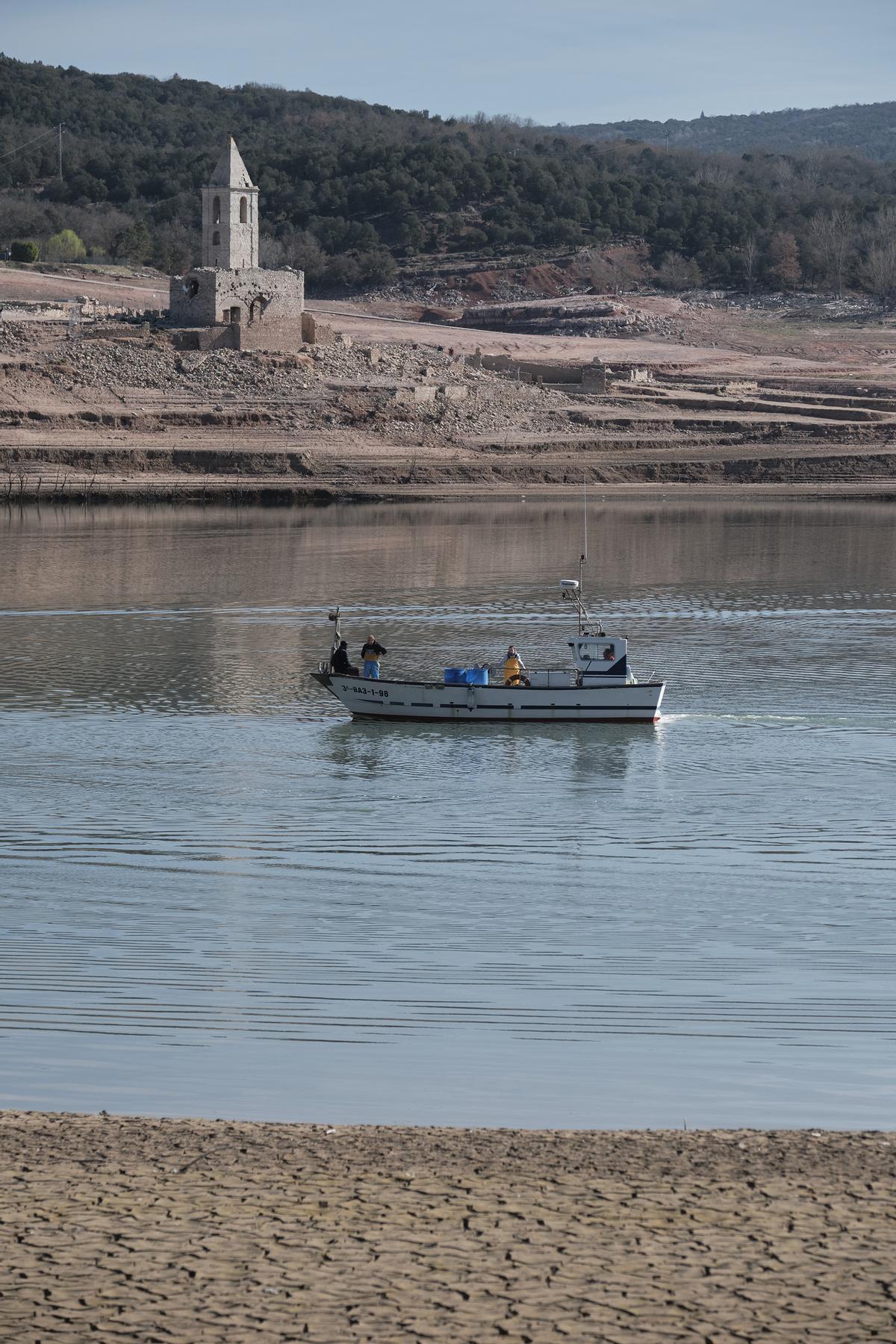 Empieza la retirada de peces del pantano de Sau