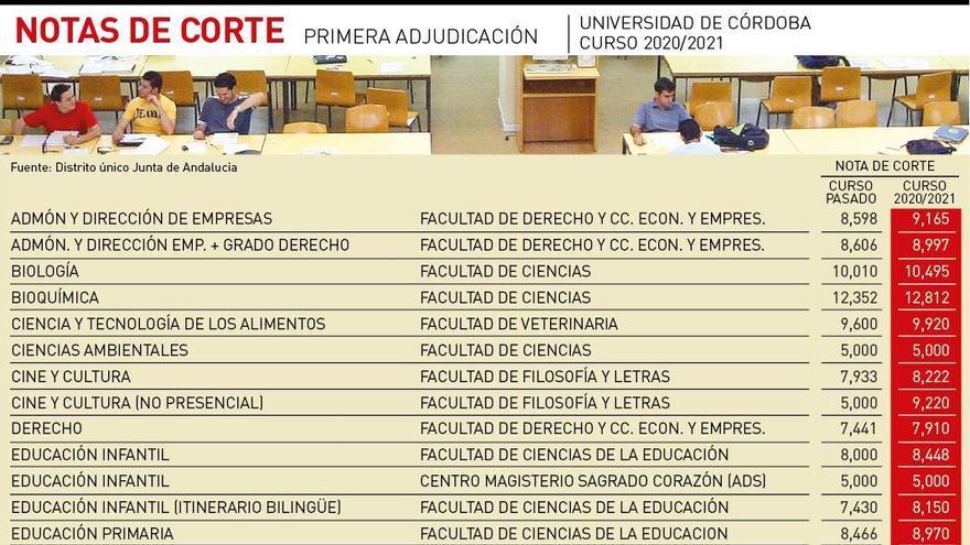 Estas son las notas de corte de los grados de la Universidad de Córdoba -  Diario Córdoba