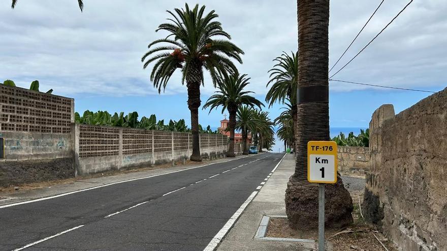 Tenerife Road Project Faces Backlash Over Plan to Remove 85 Palm Trees
