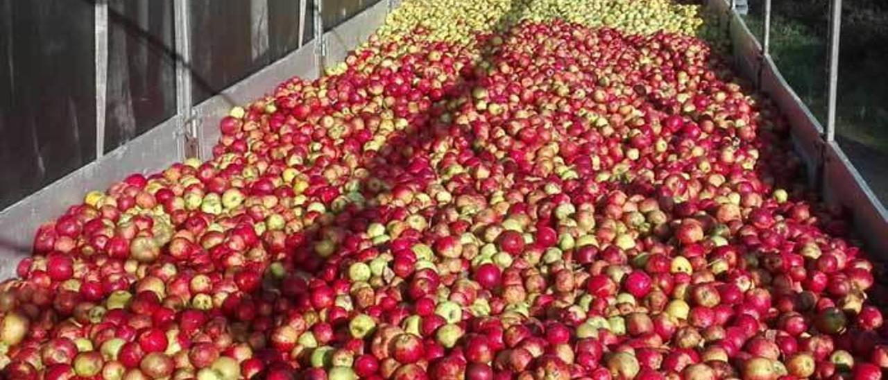 El camión cargado de manzanas que salió ayer rumbo a Lérida.