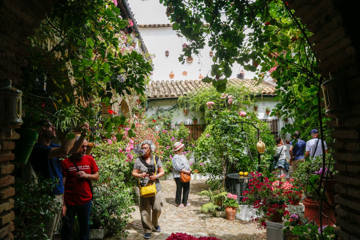 Comienza el Festival de los Patios cordobeses