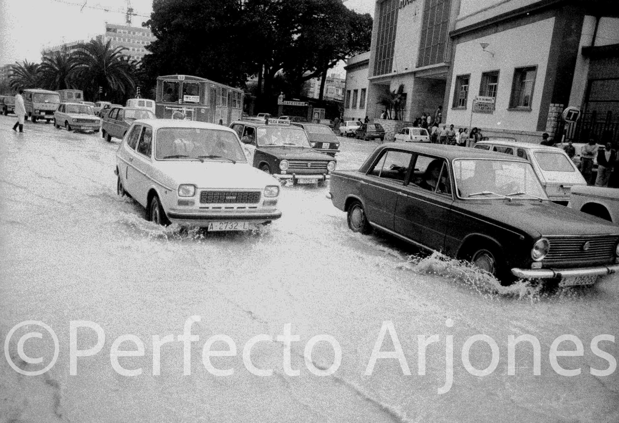 Riada de 1982: El día que Alicante se partió en dos