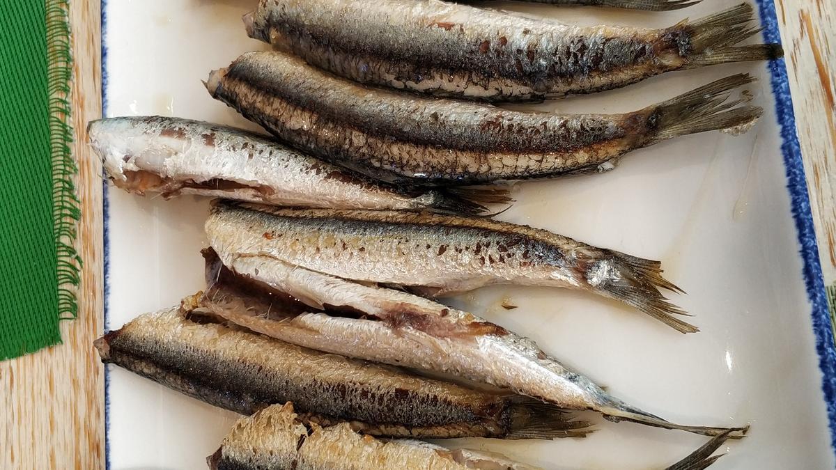 Boquerones a la plancha