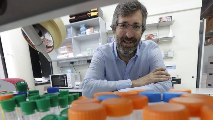 Completado, con aportación asturiana, el mapa genómico de la leucemia más frecuente