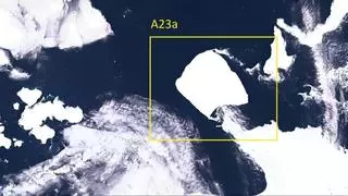 L'iceberg més gran del món, de la mida de Mallorca, navega cap a mar obert