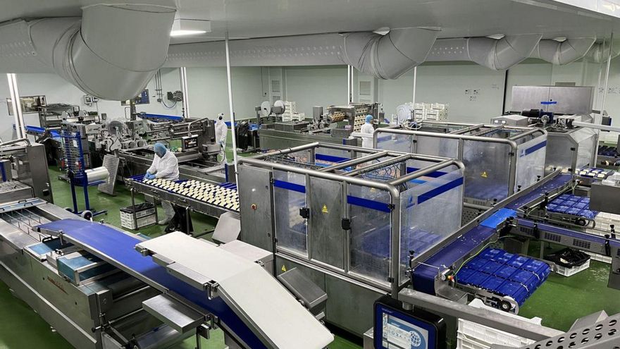 Interior de la fábrica de Quesos El Pastor, con sede en Santa Cristina de la Polvorosa. | Cedida