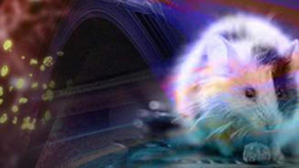 Tres genes en las neuronas de la memoria pueden revertir el deterioro relacionado con la edad.