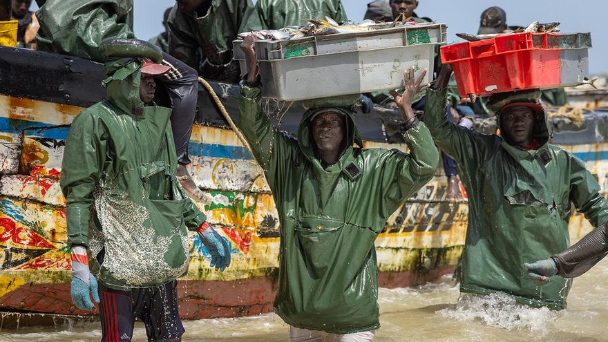 La sobrepesca en África: miseria, cayuco y carnada