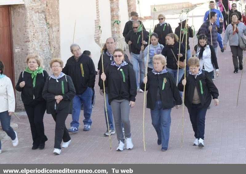 GALERÍA DE FOTOS - Romería Magdalena 2014 (2)