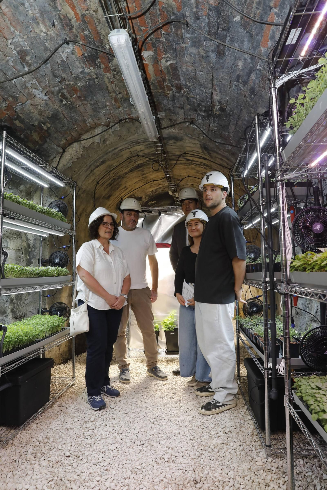 De Laviana a la Luna: así son los experimentos con cultivos subterráneos que se hacen en Carrio