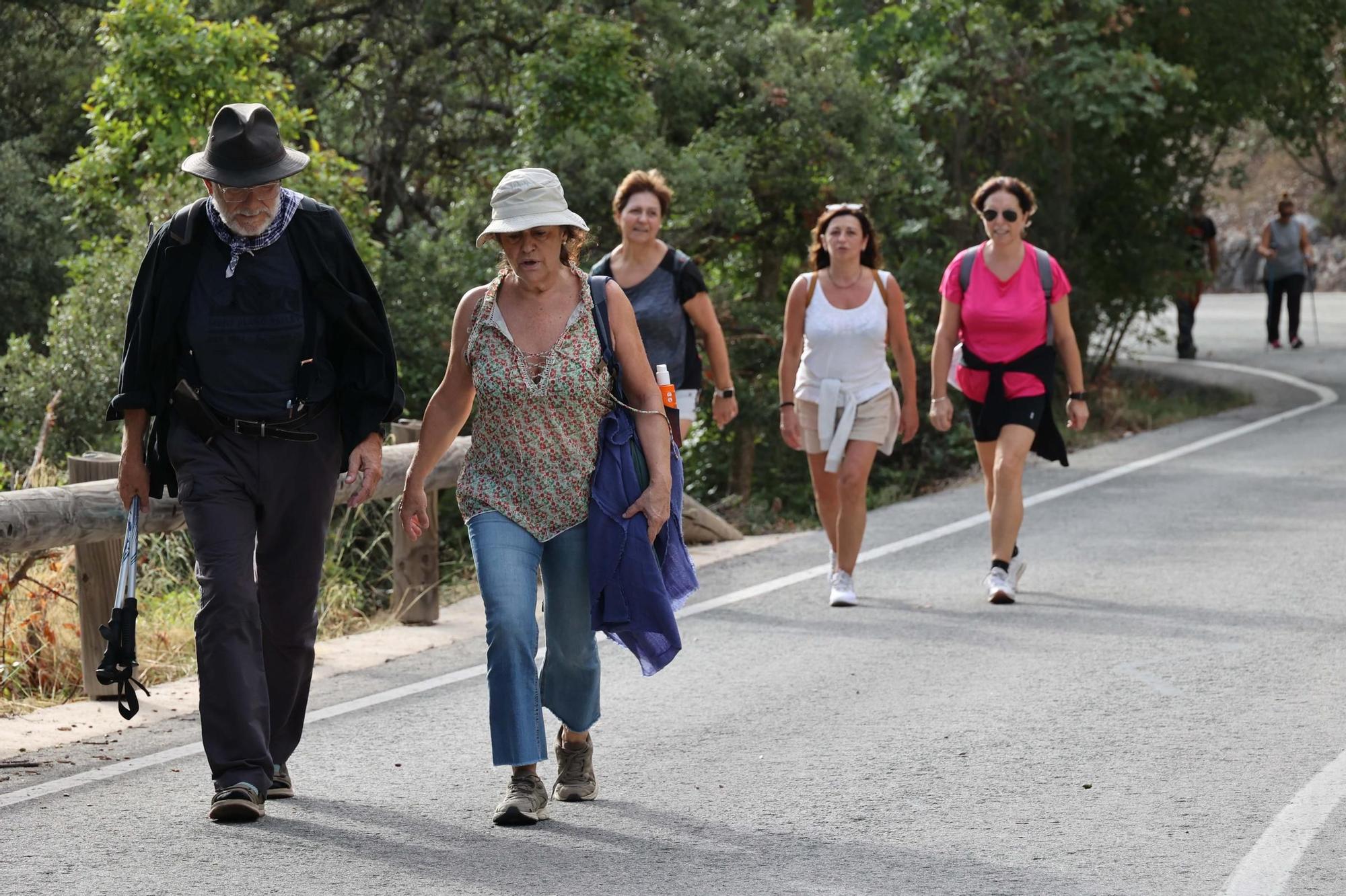 Romería a la Ront Roja