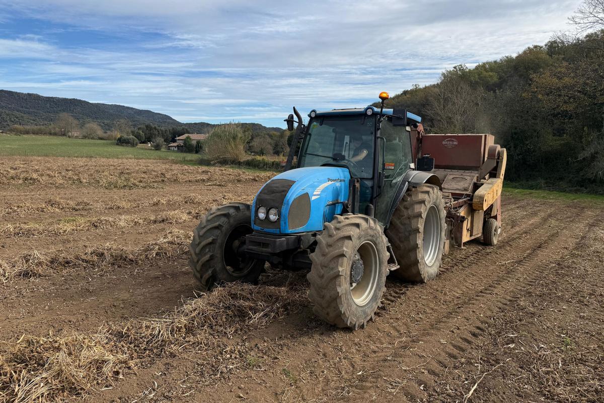 Un tractor recol·lectant fesols en un camp a Santa Pau