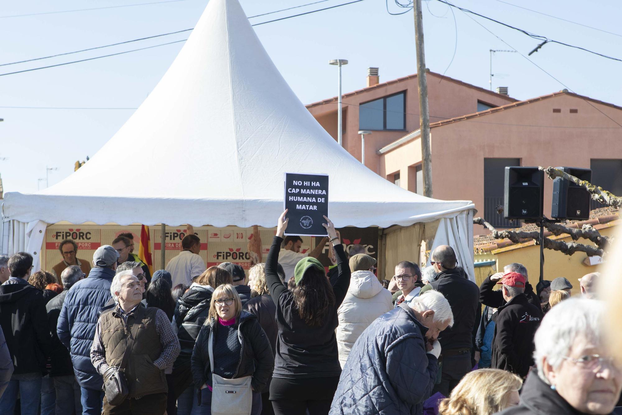 Les millors imatges del FIPORC de Riudellots