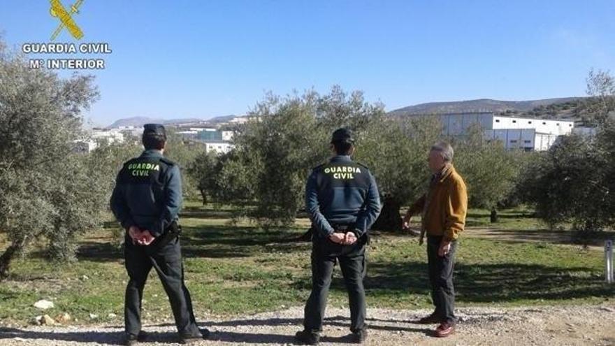 Un detenido y un investigado por estafar 80.000 euros a 84 olivareros en Extremadura