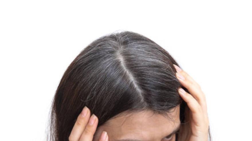 La lista de alimentos a los que debes recurrir para prevenir la aparición de canas en tu pelo