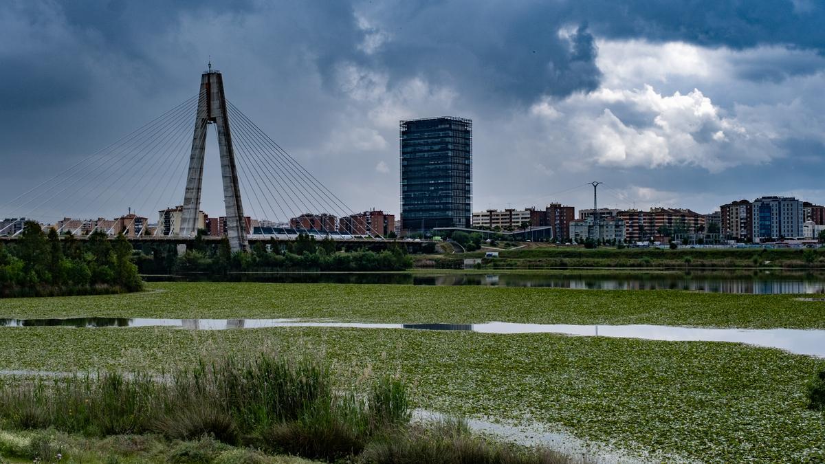 El nenúfar mexicano se extiende sobre el Guadiana.