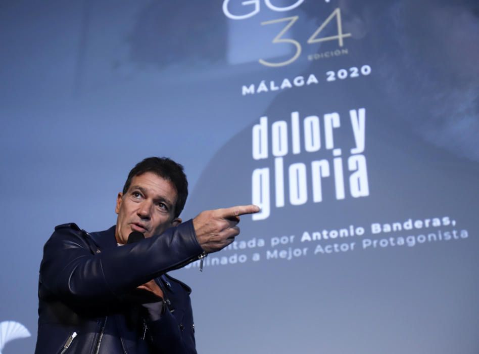 Antonio Banderas presenta 'Dolor y gloria' en Málaga tras ser nominado al Oscar