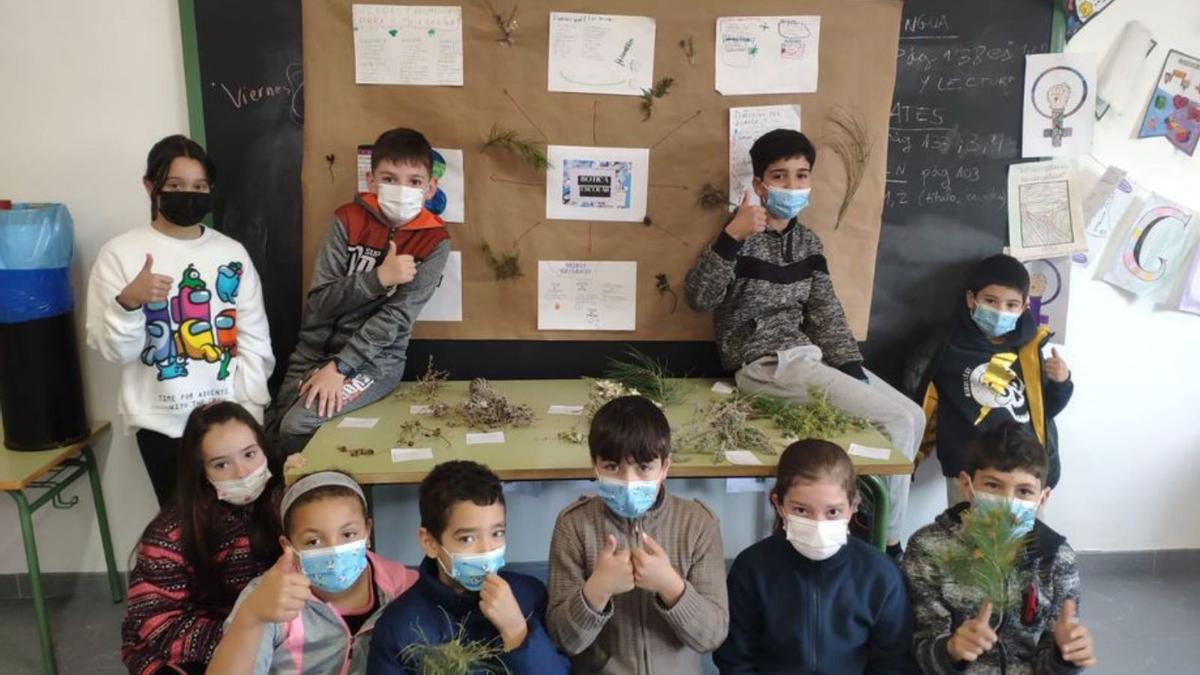 Las muestras recogida en las salidas luego se trabajaron en el aula.  | SERVICIO ESPECIAL