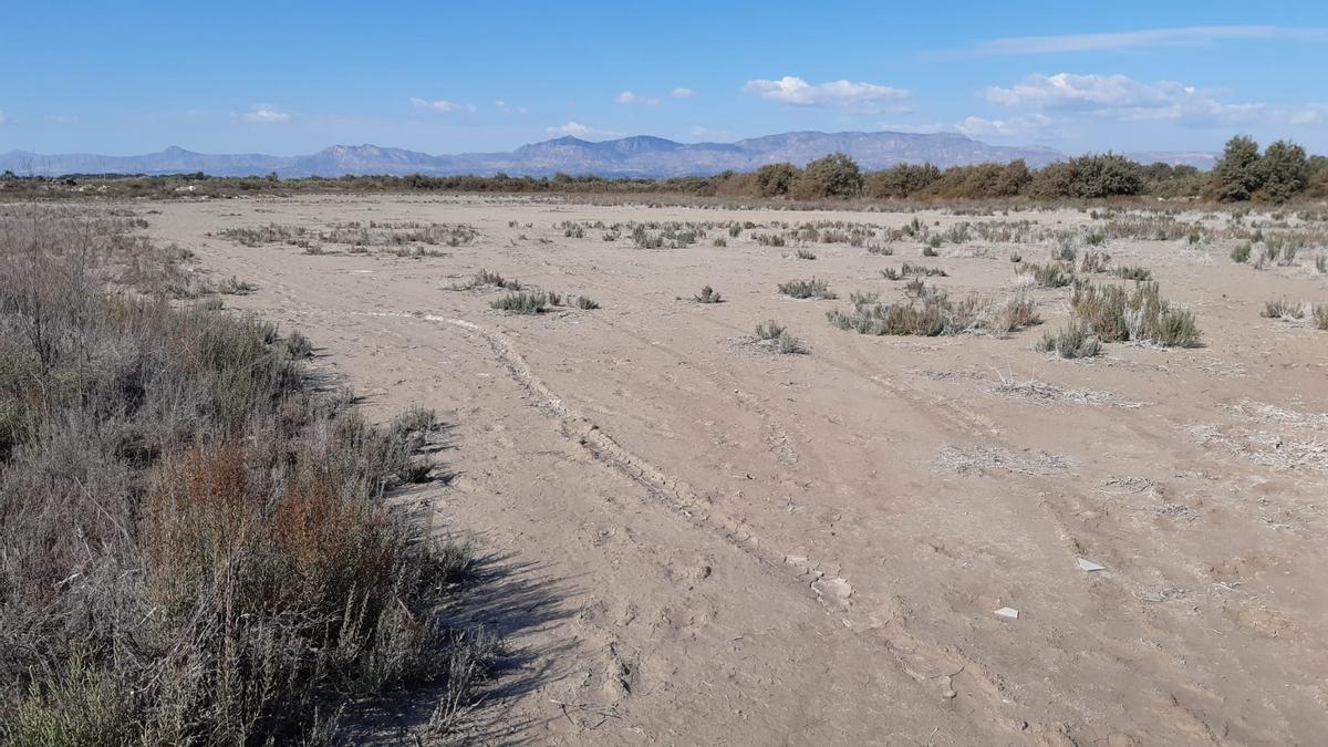 Zona de saladar inundable situada junto al vertedero incontrolado