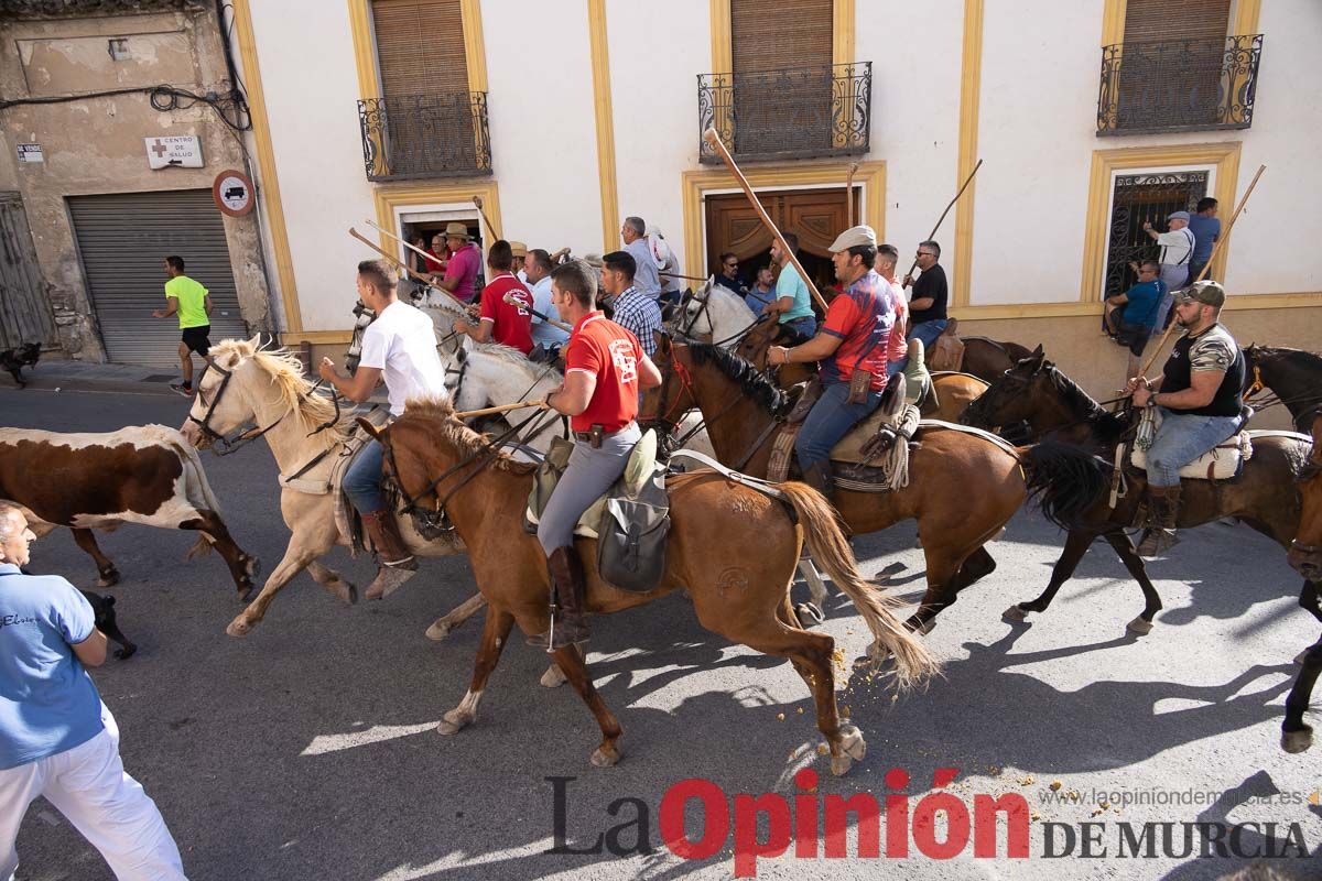 Quinto encierro Moratalla