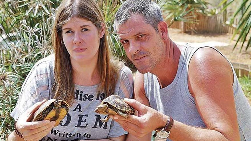 Monja Ashauer y Marcel Walz sostienen dos de las tortugas que todavÃ­a conservan en su finca de Llucmajor.