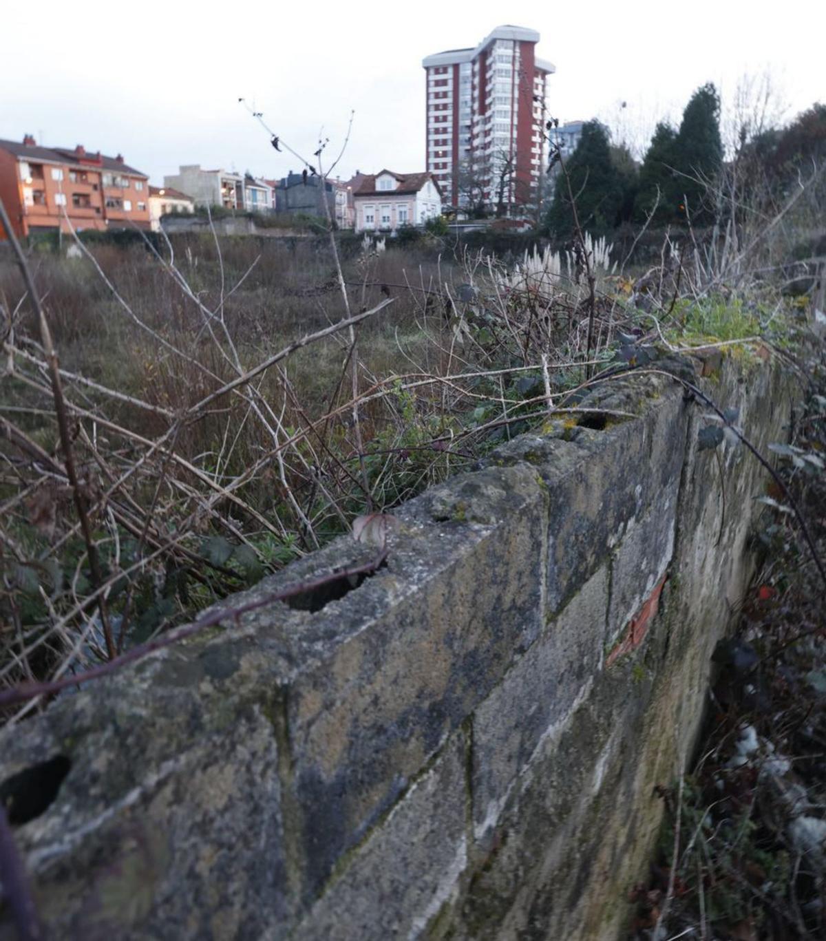 El Ayuntamiento estudia la urbanización forzosa de parcelas