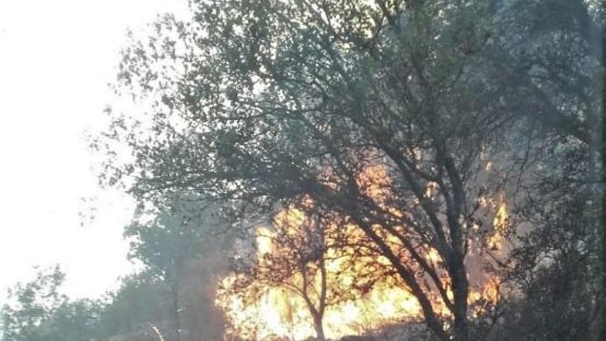 Extinguido el incendio forestal declarado en Villaharta