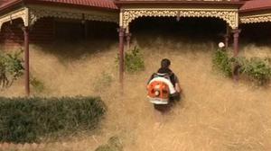 Un petit poble australià pateix una plaga d’una herba anomenada ’pànic pelut’.