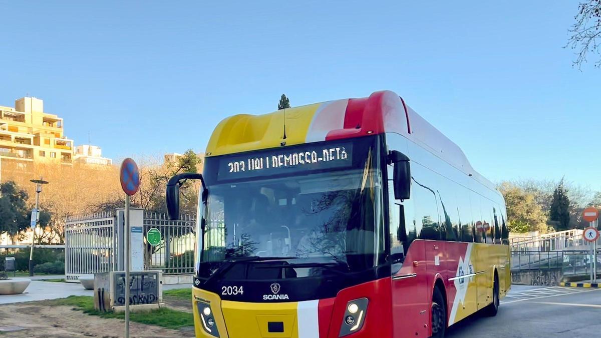 Imagen de un bus interurbano del servicio TIB.
