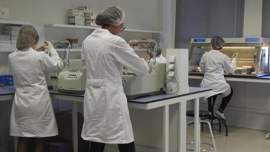 Una empresa de Elche desarrolla un kit genético para la detección del coronavirus