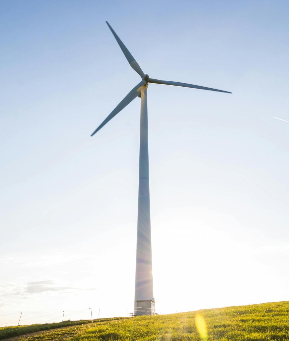 La compañía aboga por el ahorro en el consumo energético.