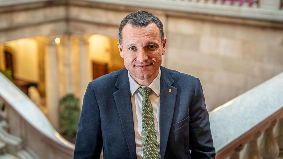 Борьба с африканской чумой свиней в Каталонии продолжается