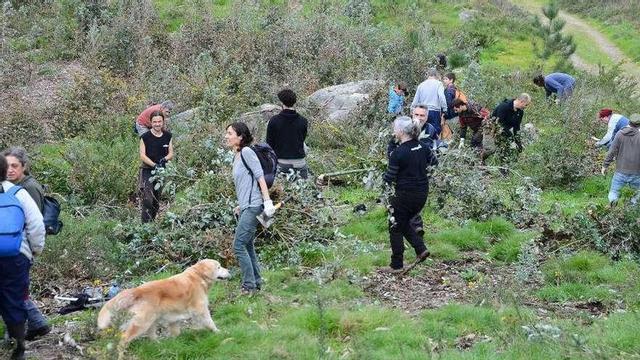 Una de las zonas forestales, tras finalizar ayer los trabajos. // G.Núñez