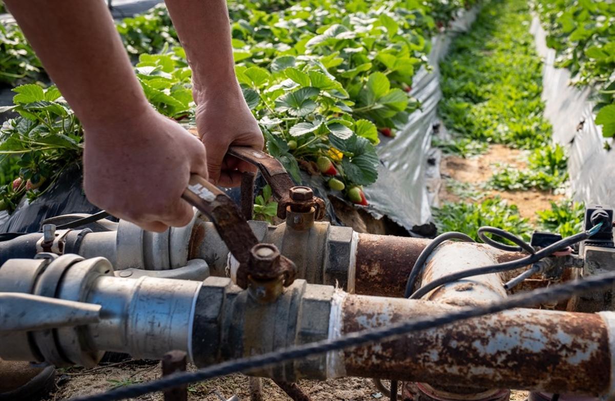 Conducción de agua en una finca de Doñana donde se cultivan fresas.