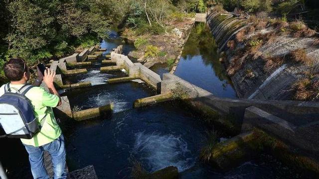 Presa de Ence en Bora, donde se ubica la captación de la empresa. // G. Santos