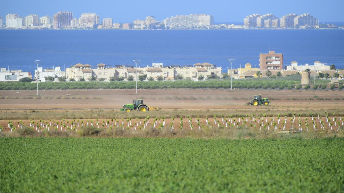 Campos de cultivo en torno al Mar Menor, en el Campo de Cartagena.