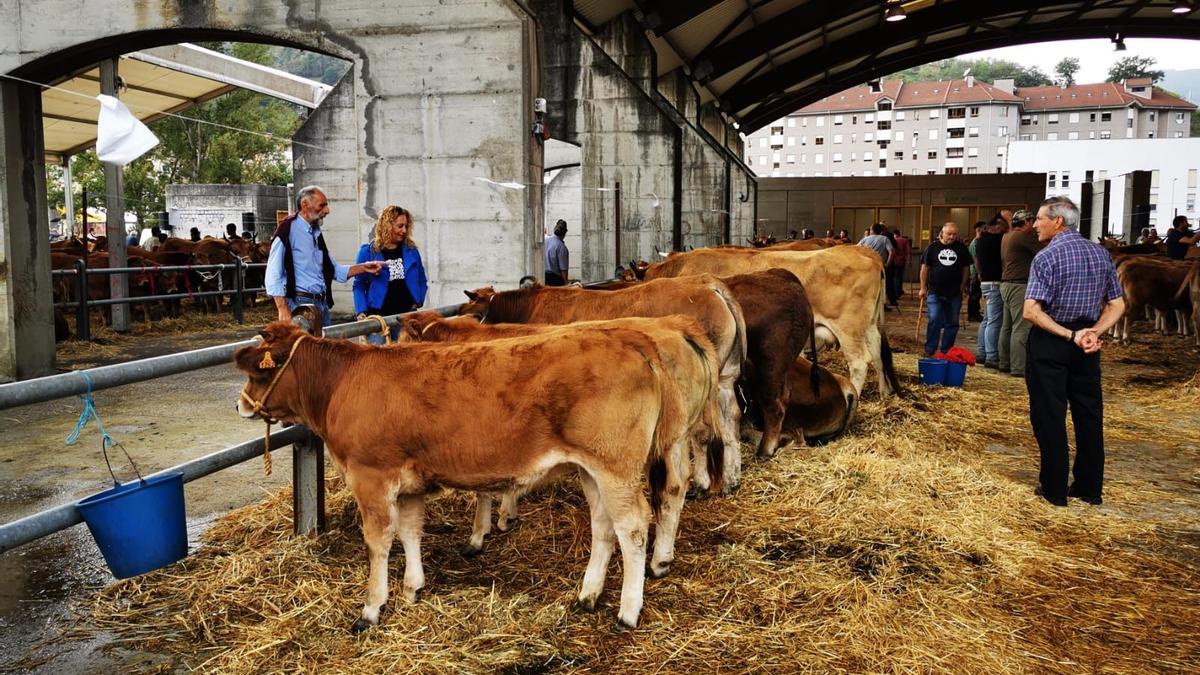 La alcaldesa de Lena, Gema Álvarez, y el concejal Juan Mallada, durante una visita al certamen de ganado.