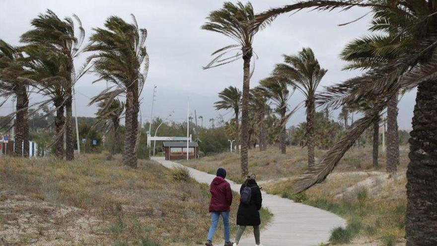 Conoce todas las incidencias por lluvias y viento en Castelló