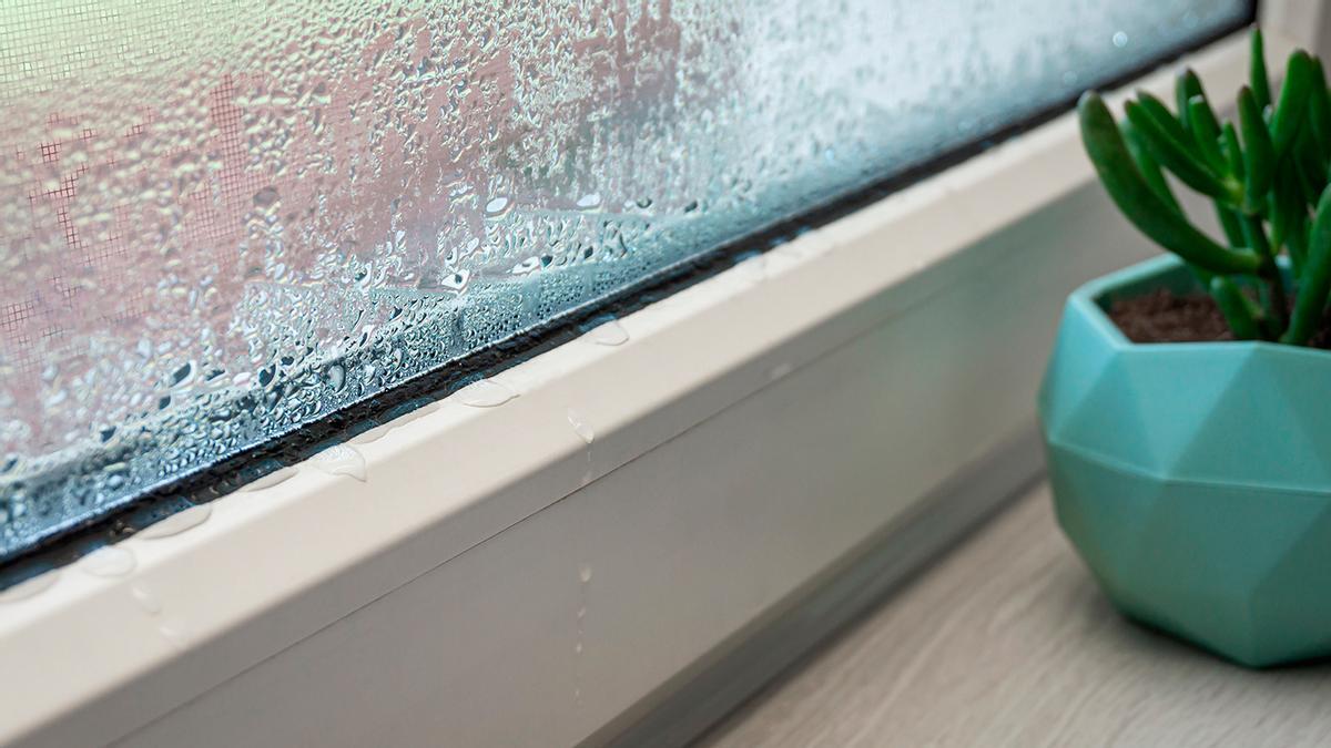 Prepara humidificadores caseros para cualquier ambiente de tu casa
