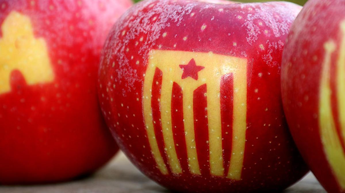 Empieza la recogida de las manzanas con el tatuaje de la ’estelada’.