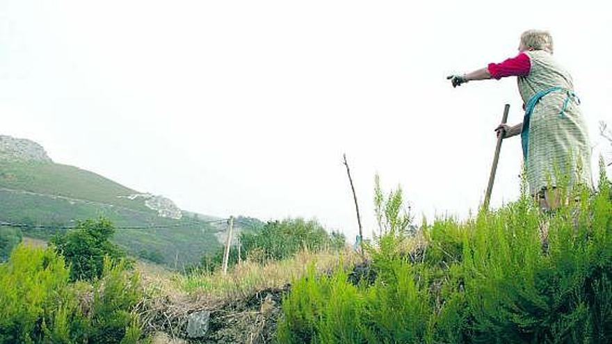 Una mujer señala un parque eólico, en Villanueva de Oscos, cubierto por niebla.