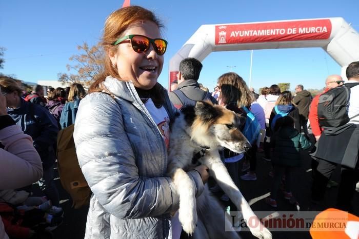 Carrera Benéfica de Astrade - Senderistas (I)